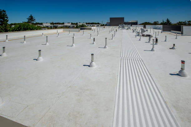 Best Skylight Installation and Repair  in West Crossett, AR